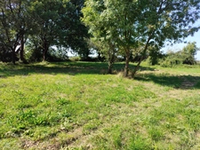 Terrain à bâtir 1 123 m² – Tesson (17460) – environnement résidentiel paisible