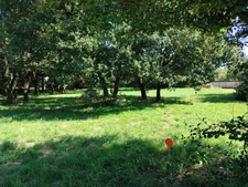 Terrain à bâtir 1 123 m² – Tesson (17460) – environnement résidentiel paisible