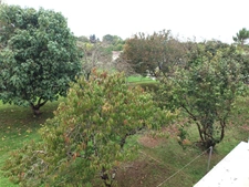Maison T4 de 96 m² avec garage et grand terrain – Saint-Germain-de-Lusignan