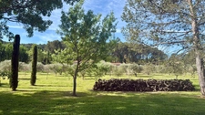 Mas 200 ans vue Sainte-Victoire – Piscine, oliviers – 20min Aix-en-Provence