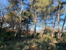 Terrain 1514 m2 à vendre TRETS (13)