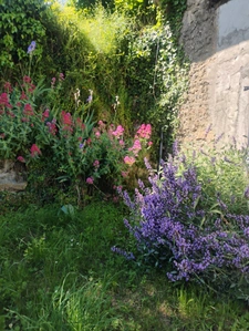 Ideal résidence secondaire entre Cluny et Charolles pour amoureux de la nature