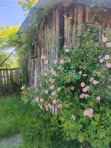 Ideal résidence secondaire entre Cluny et Charolles pour amoureux de la nature