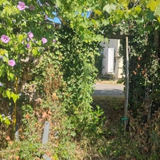 Coup de cœur : Charme, authenticité et potentiel  Maison mitoyenne 5 pièces SAINT PIERRE LE VIEUX (71)