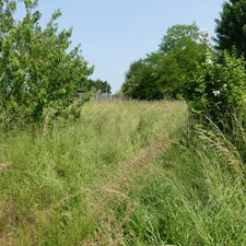 Pont Royal, canal, maison 6 chambres, sur terrain 1800m2.