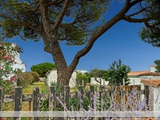 La Flotte, Maison à vendre 57m2 sur parcelle de 800m2