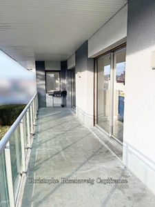Architect-designed house with great potential – 249 m² of living space on 8 ares of land
