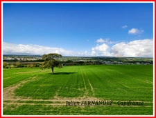 Dpt Vienne (86), à vendre CHÂTELLERAULT Maison P7 de 150m² - Terrain de 1436m²