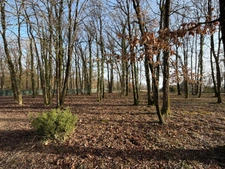 VERRIE, Terrain à bâtir de 1874m² hors lotissement et libre de constructeur.