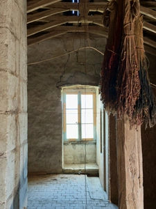 TRÈVES, Ancien Logis du début XVIIème siècle de 265m² sur jardin arboré de 1600m²