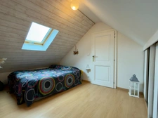 CHOUZE SUR LOIRE, Maison tuffeau 4 chambres avec vie de plain-pied sur jardin arboré clos.