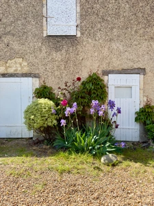 BLOU. Centre bourg historique, Maison tuffeau de 140m² avec potentiel de développement sur jardin arboré clos.