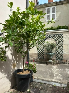 SAUMUR Historic City Center, 100m from Place Saint Pierre, 1-bedroom apartment (possibility of 2 bedrooms)