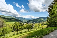 Property - House + Gîte - Bauges Mountains (73)