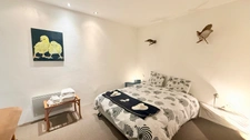 Maison à vendre 5 pièces + 2 gîtes à SUZE LA ROUSSE (26)