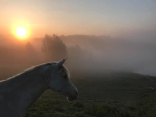  Propriété d’exception de 28 ha avec étang, gîtes et installation equestre privée à CEYROUX (23) 766500€ FAI