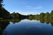 Propriété équestre avec gîte & 14 hectares – Javerdat (Haute-Vienne)