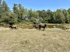 Propriété équestre avec gîte & 14 hectares – Javerdat (Haute-Vienne)