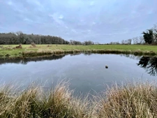 Propriété équestre avec gîte & 14 hectares – Javerdat (Haute-Vienne)