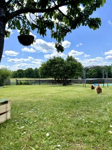✨ Maison d'exception 200m2+ gites 130 m2, installation equestre sur 5ha3 aux portes de Confolens (16) 695000€
