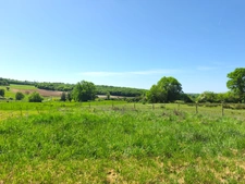  Fermette en pierre 450 m2 avec 3 ha MAREUIL (24)  124 700€ FAI