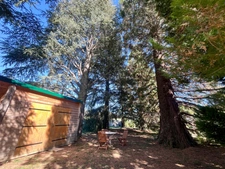Villa d’exception en exclusivité au cœur de la Vallée de Batsurguère
