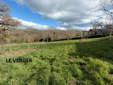 Grande maison rénovée avec atelier, terrasse panoramique et verger – 220 m² – Mourjou (Puycapel  cantal)