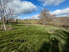 Grande maison rénovée avec atelier, terrasse panoramique et verger – 220 m² – Mourjou (Puycapel  cantal)