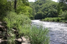 15th-century property - On the heights of the Lot - guest rooms