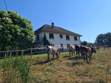 Maison au calme à vendre 7 pièces sur belle surface de terrain