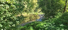  Village Vacances avec Restaurant & Licence IV GRAND VABRE (12)