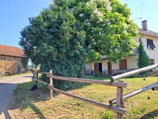 Grande maison familiale de 174 m² avec terrain de 4 160 m² – Proche Maurs