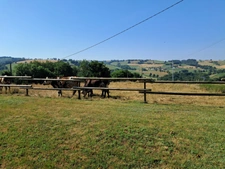 Grande maison familiale de 174 m² avec terrain de 4 160 m² – Proche Maurs