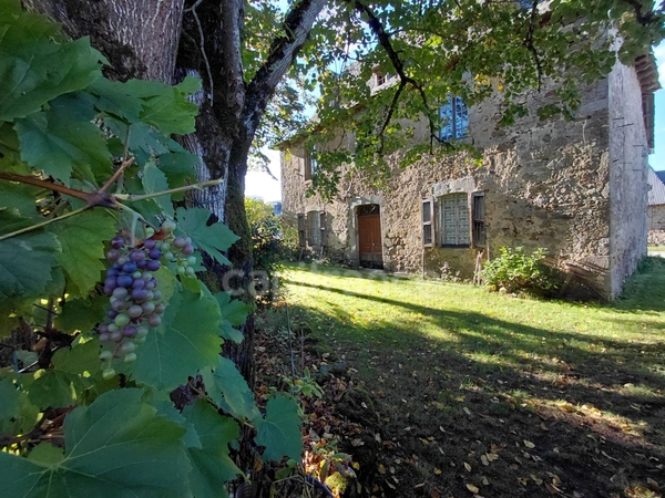 Maison de Maître du XVIIIe siècle avec dépendances et terrain – Puycapel (15)