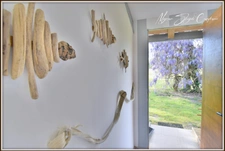 Maison Landaise de charme de 140 m² à vendre 6 pièces CASTETS (40) au calme avec piscine.