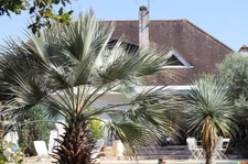 8-room property for sale in Mont-de-Marsan (40), 210 m², close to shops