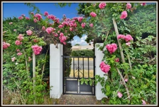 Maison à vendre 5 pièces VIELLE SAINT GIRONS (40) DE 123 m² PLAIN-PIED, AU CALME