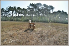 PROPERTY for sale, 10 rooms (40), NEAR THE WHITE POND