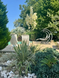 8-room property for sale in Mont-de-Marsan (40), 210 m², close to shops