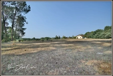 PROPERTY for sale, 10 rooms (40), NEAR THE WHITE POND