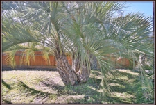 Single-story architect-designed villa of 182 m² for sale, 5 rooms, Soustons (40), 500 m from the lake