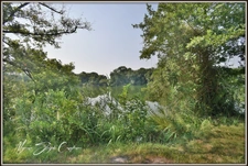 PROPERTY for sale, 10 rooms (40), NEAR THE WHITE POND