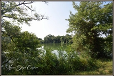 PROPERTY for sale, 10 rooms (40), NEAR THE WHITE POND