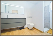 Propriété à vendre 7 pièces BENESSE MAREMNE (40) au calme avec dépendance.