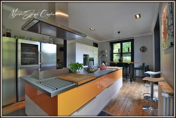 Maison de caractère à vendre 12 pièces  (40) de 355 m² au coeur du centre-ville.