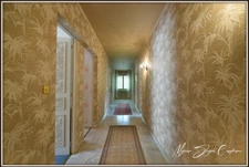 Property for sale 8 rooms MIMIZAN (40) with private lake.