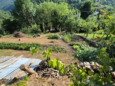 Maison à vendre 4 pièces  (12)