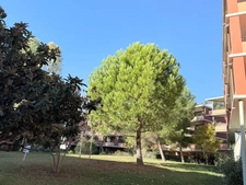 2-room apartment for sale in Montpellier (34)