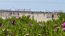 Appartement à vendre 5 pièces  CARNON PLAGE (34)