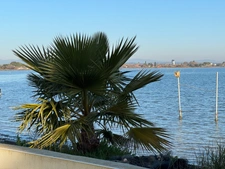 Maison à vendre maison 5 pièces  en première ligne avec piscine PEROLS (34)